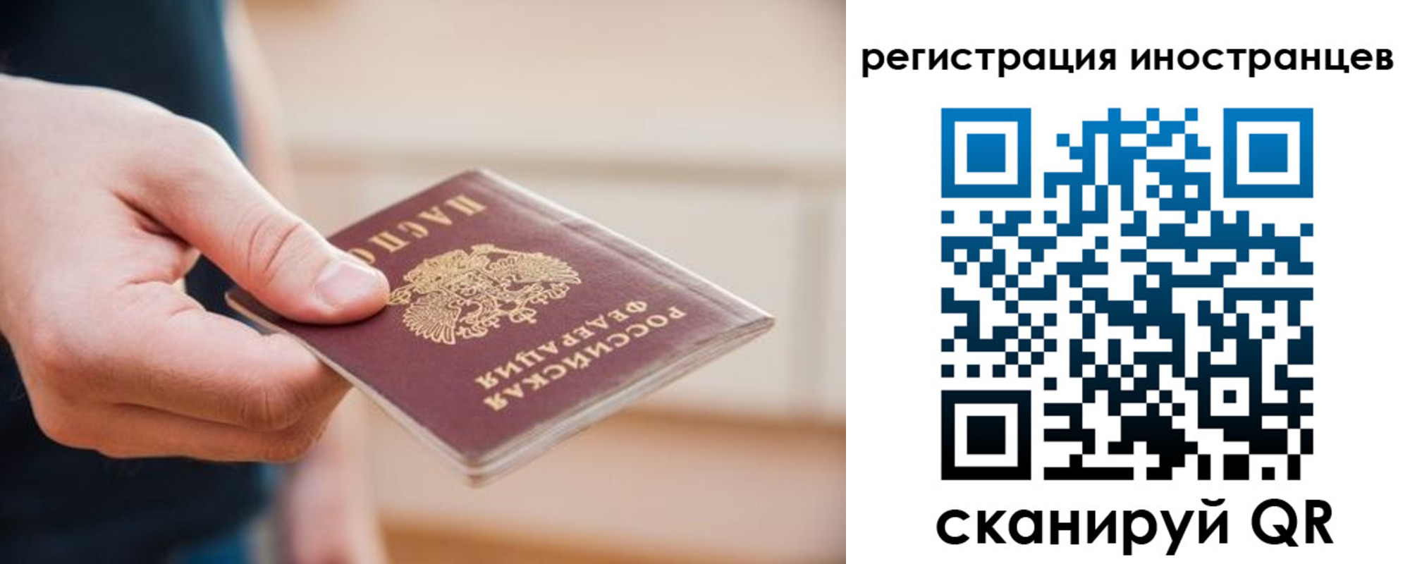 прописка гарантия в Могочи
