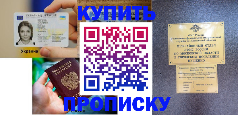 прописка законно в Могочи
